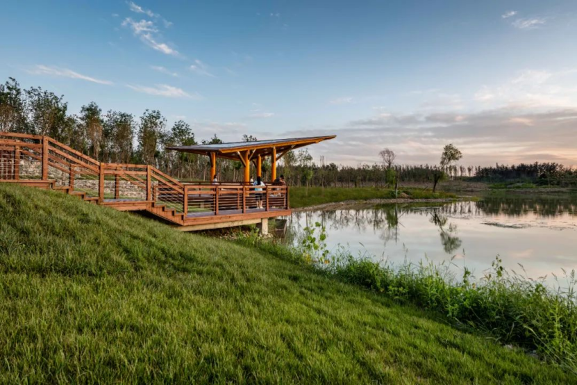 郊野公園：春天就要出去“野”一下