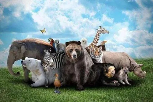 崔書紅：開啟生物多樣性保護(hù)新篇章