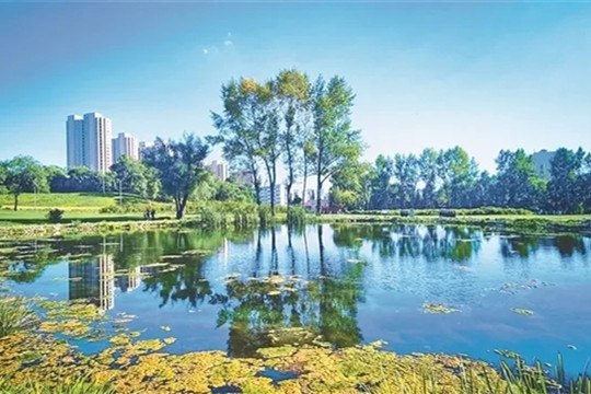 趙兵：結(jié)合市場營銷進(jìn)行公園設(shè)計(jì)