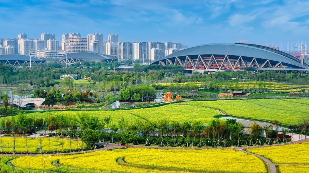 赤地設計丨金華湖海塘公園復耕改造工程