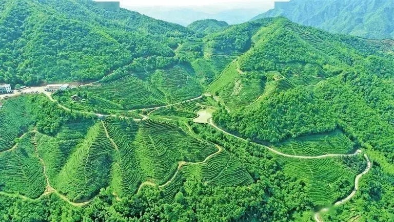 《全國國土綠化規(guī)劃綱要》發(fā)布