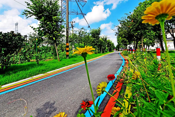 十四五鄉(xiāng)村綠化美化行動方案的亮點