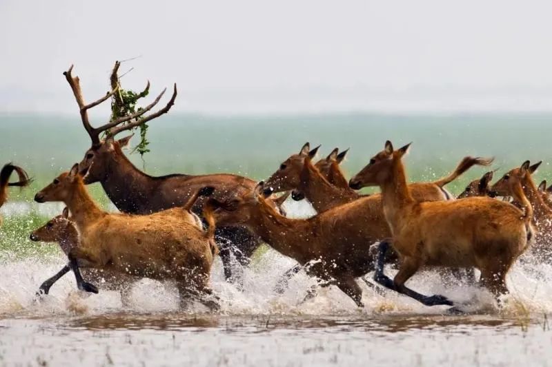 中國7個新國際濕地城市的美麗故事
