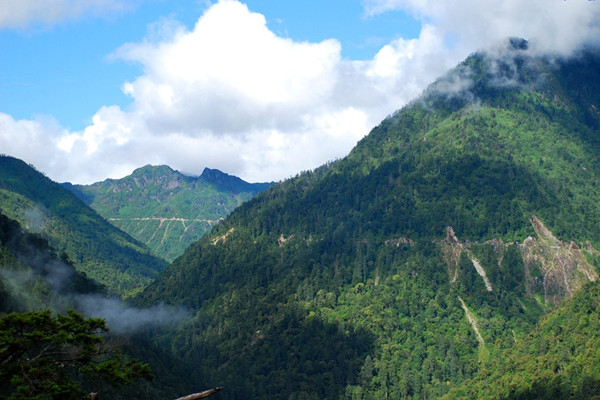 云南將創(chuàng)建4個(gè)國家公園
