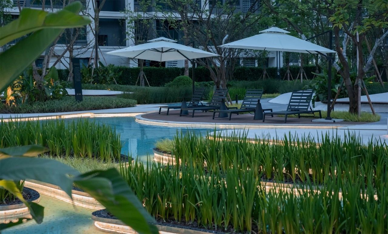 SED新西林丨重慶東原印未來