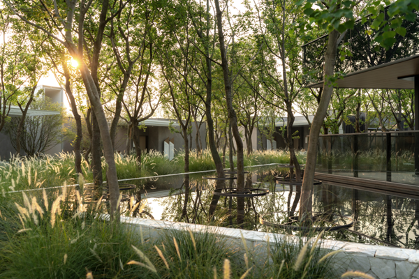 麥微景觀丨成都麓湖C7玄鳥灣示范區