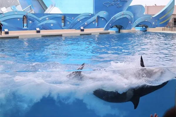 海昌海洋公園將合作開發沙特海昌海洋公園項目