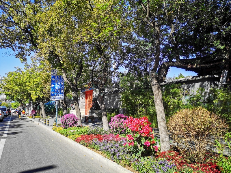 朝陽區(qū)打造北京市首個(gè)花園式示范街區(qū)